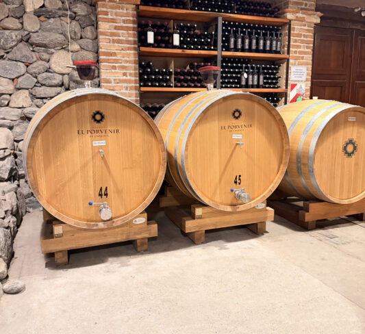 Qué hacer en Cafayate: el pueblo del vino más famoso del norte argentino