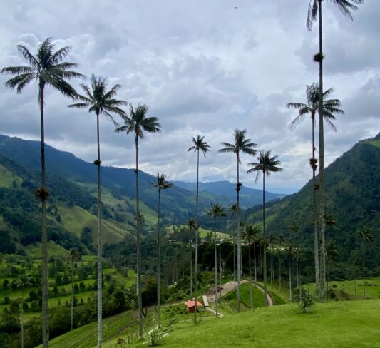 Qué hacer en Salento, Colombia: guía completa para visitar el pueblo más bonito del Eje Cafetero 2026