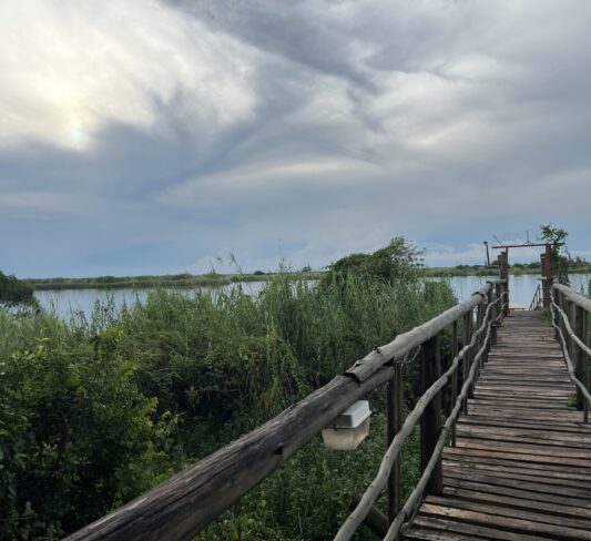 TODO LO QUE DEBES SABER ANTES DE VIAJAR A BOTSWANA