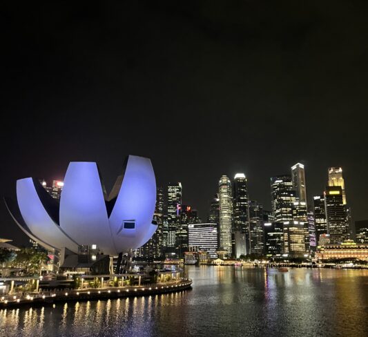 LAS 10 COSAS QUE MÁS ME SORPRENDIERON DE SINGAPUR
